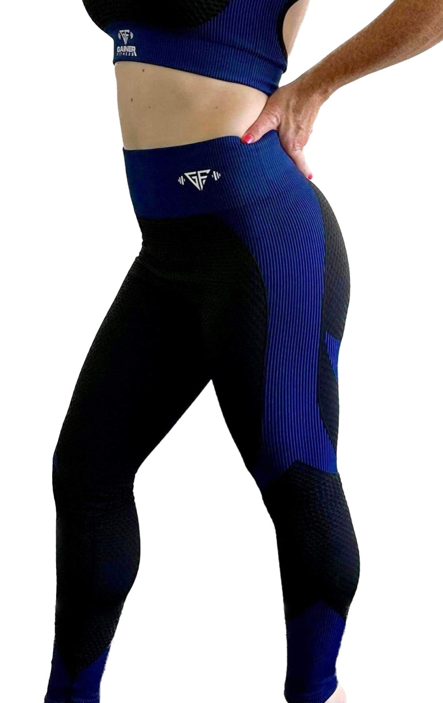 GainerFit Black/Blue Leggings